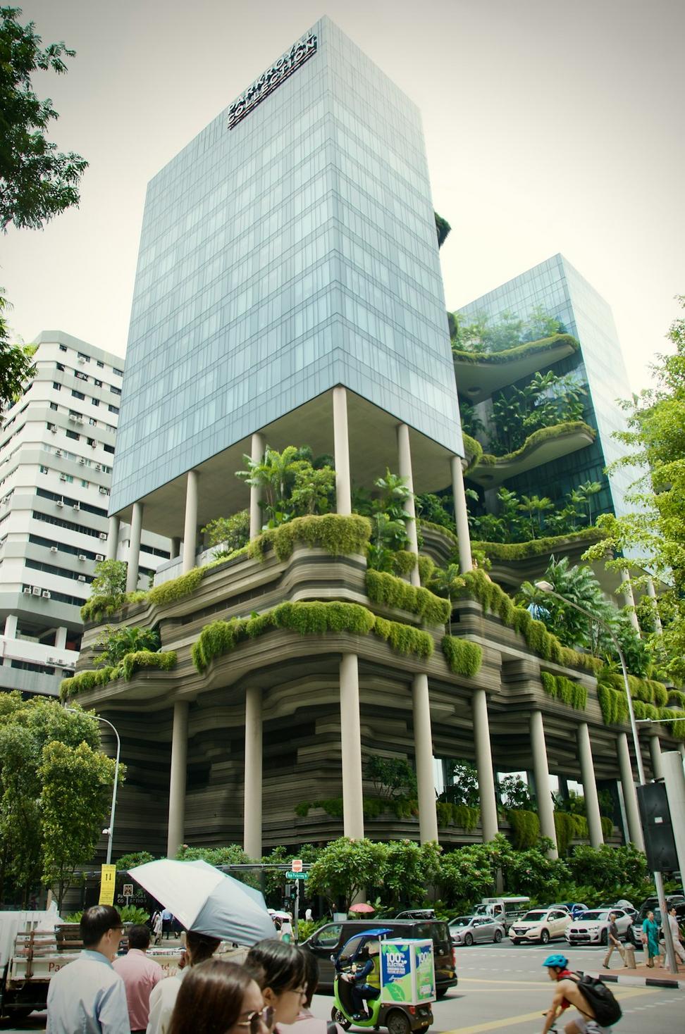 Biophilic Design